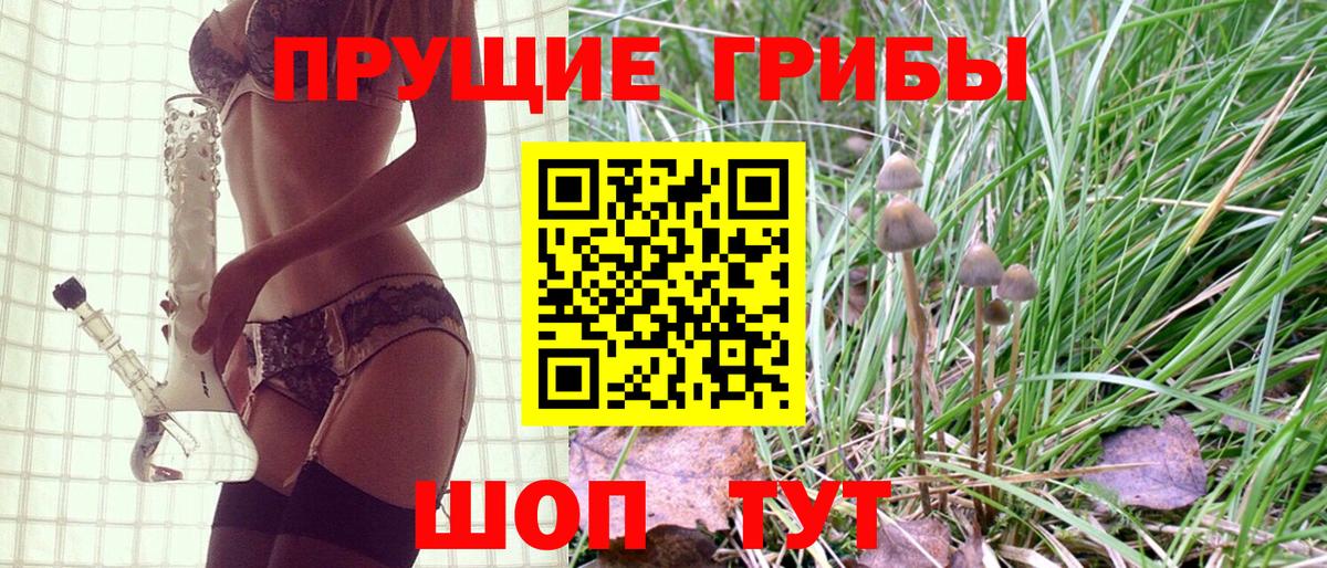 как найти   Галлюциногенные грибы GOLDEN TEACHER  Вход с VPN  Галлюциногенные грибы GOLDEN TEACHER  Великий Устюг 