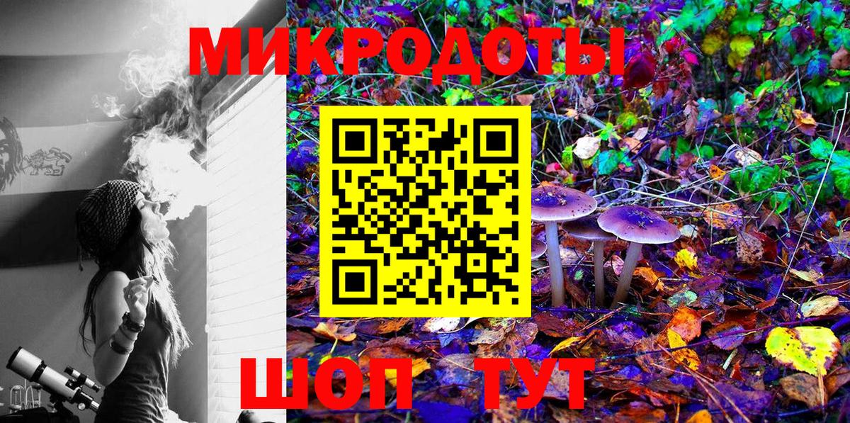 Галлюциногенные грибы прущие грибы Великий Устюг